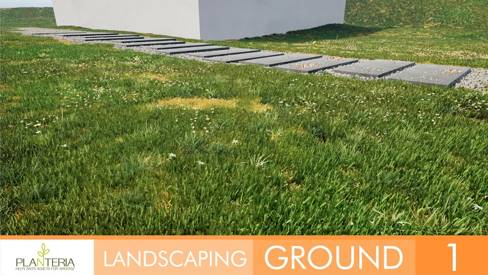 Landscaping Ground 1 