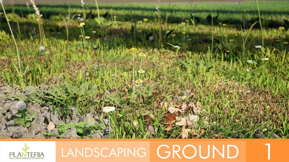 Landscaping Ground 1 