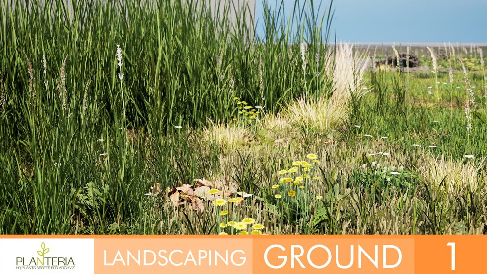 Landscaping Ground 1 