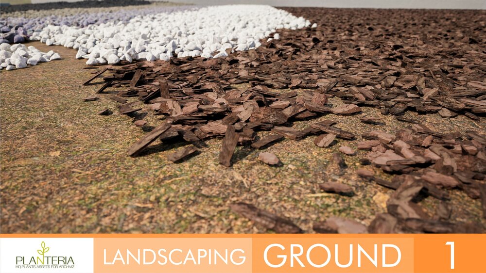 Landscaping Ground 1 