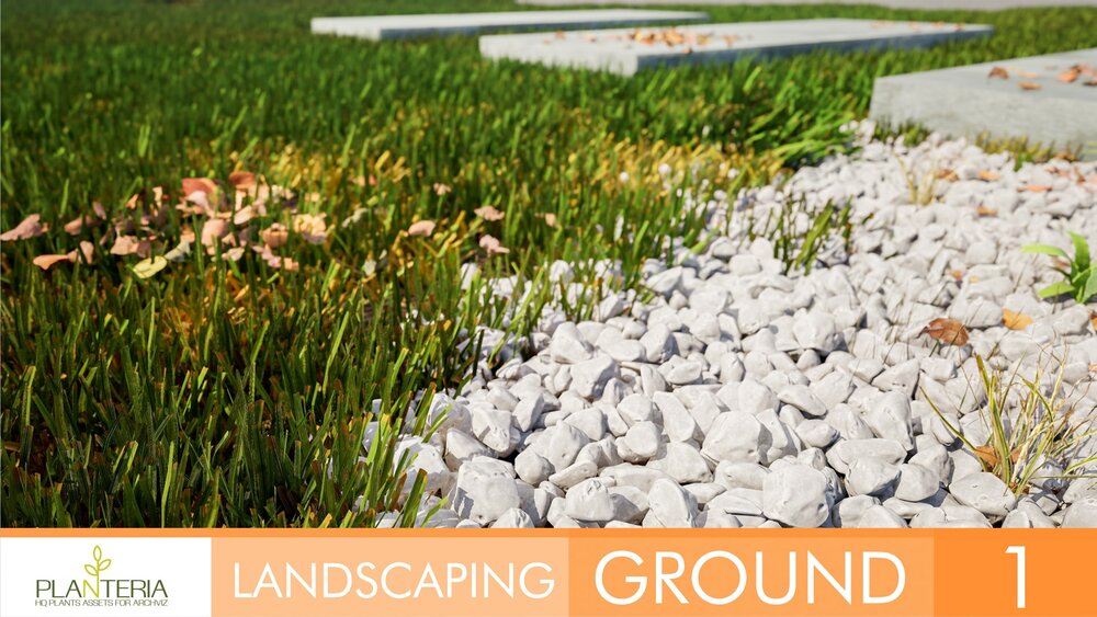 Landscaping Ground 1 