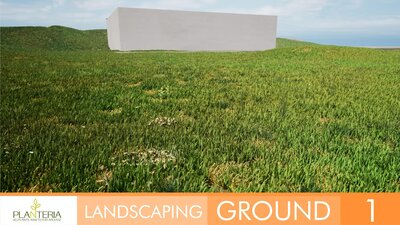 Landscaping Ground 1 