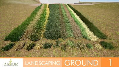 Landscaping Ground 1 