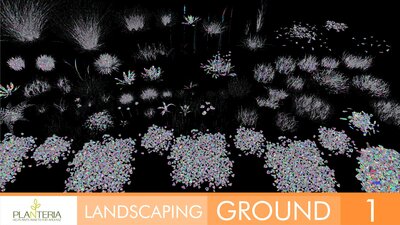 Landscaping Ground 1 