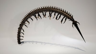 Scolopendra_IndustrialMech06 