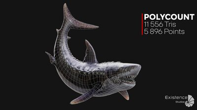 Megalodon Shark Model. Game-Ready LowPoly Animated Ocean Predator. Low poly fish 