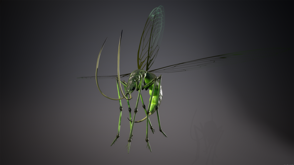 Flying insect 01 