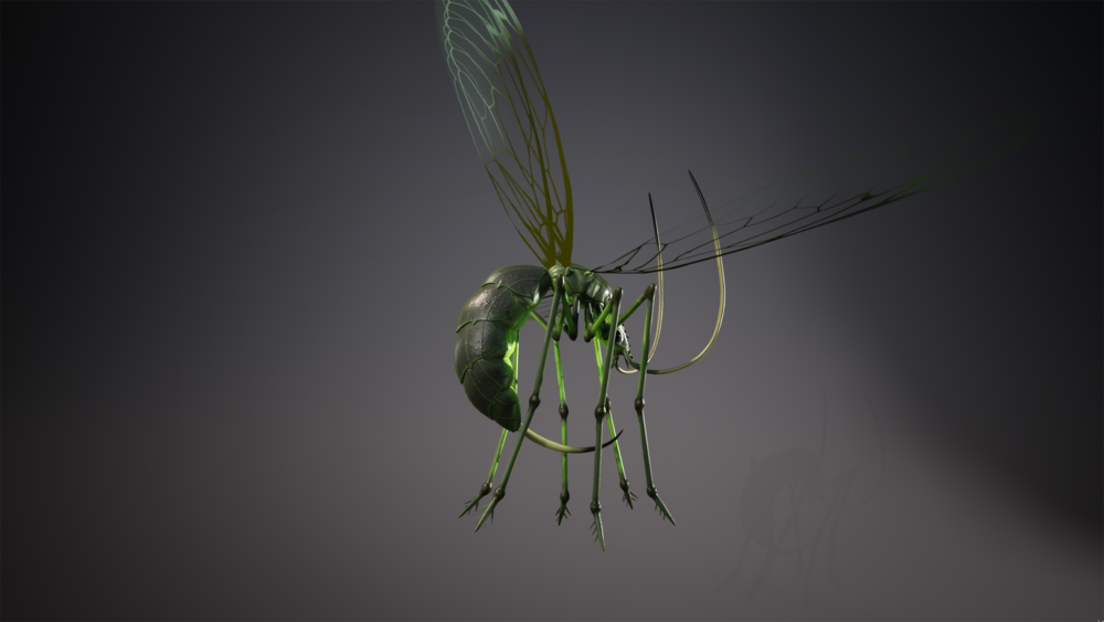 Flying insect 01 