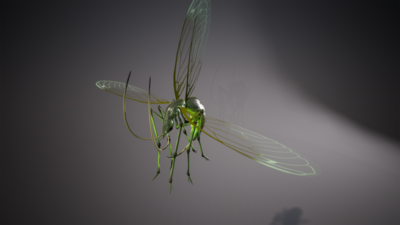 Flying insect 01 