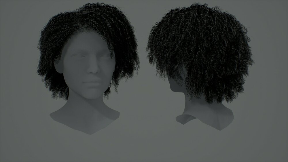 Hairstyles Pack: Female 