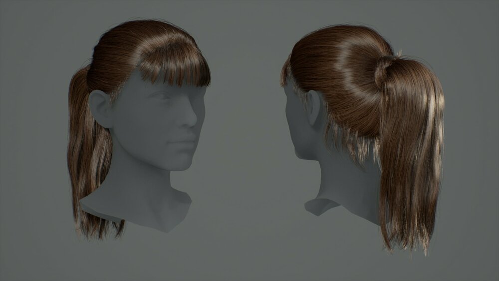 Hairstyles Pack: Female 