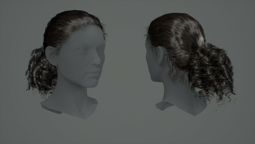 Hairstyles Pack: Female 