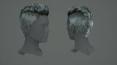 Hairstyles Pack: Female 