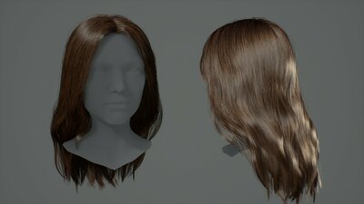 Hairstyles Pack: Female 