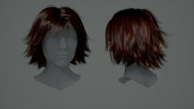 Hairstyles Pack: Female 