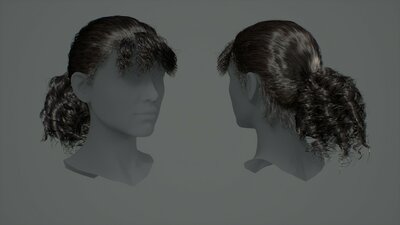 Hairstyles Pack: Female 