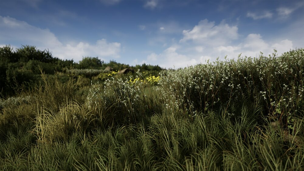 Light Foliage Bundle 