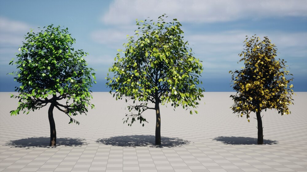 Realistic Trees Pack 1 