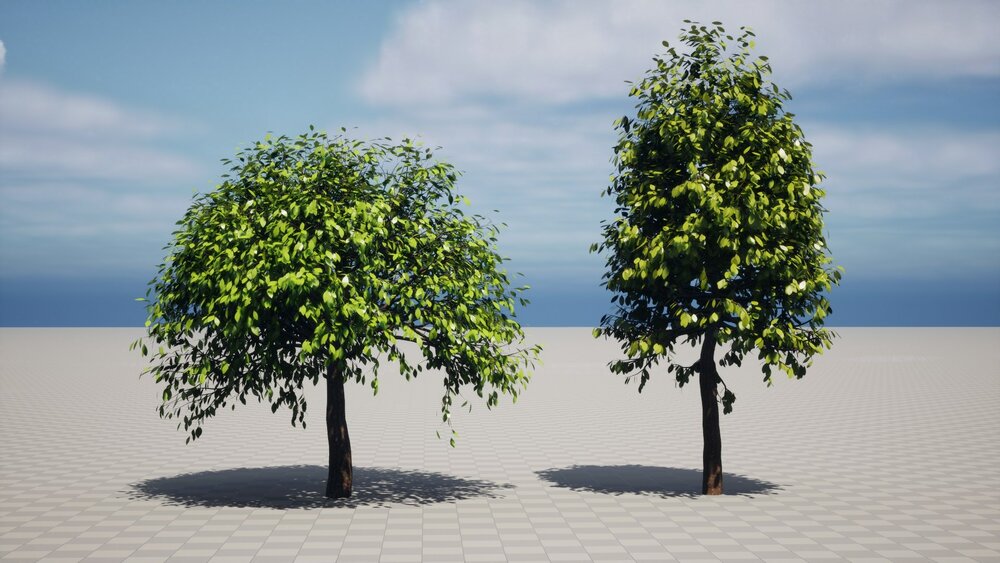 Realistic Trees Pack 1 