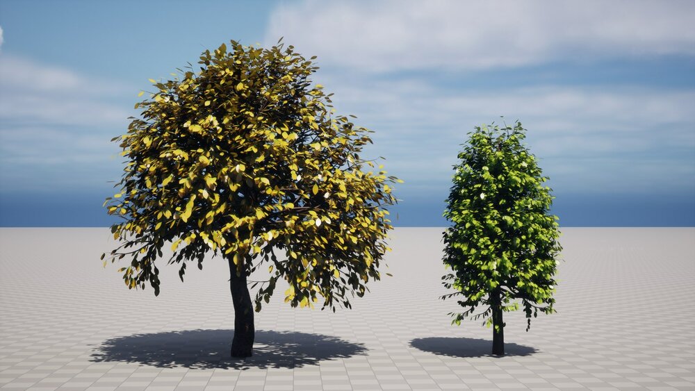 Realistic Trees Pack 1 