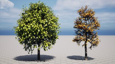 Realistic Trees Pack 1 