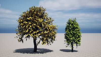 Realistic Trees Pack 1 