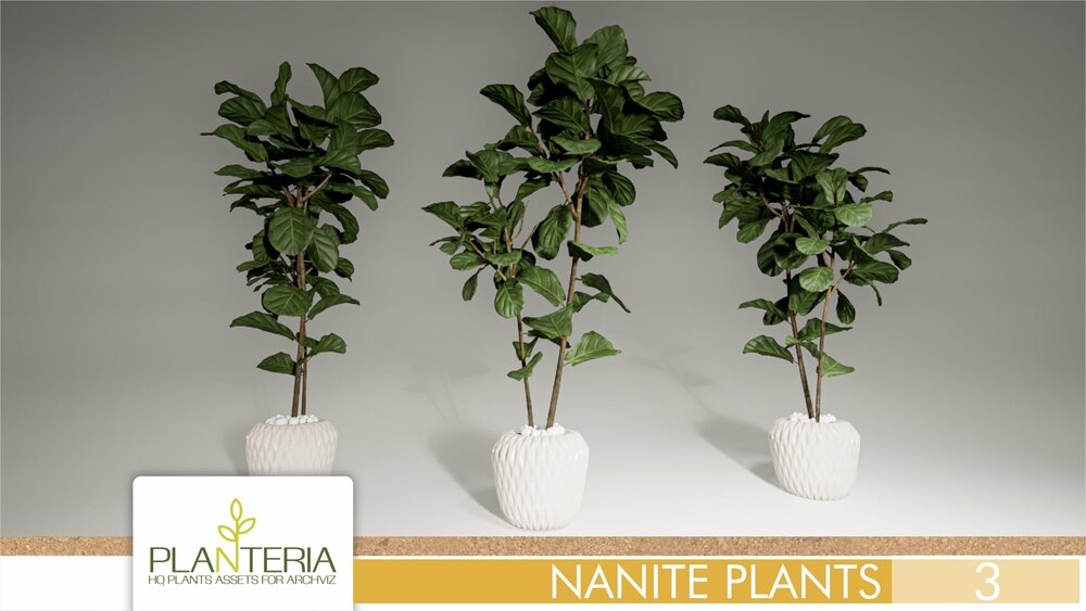 Nanite Plants Vol. 3 