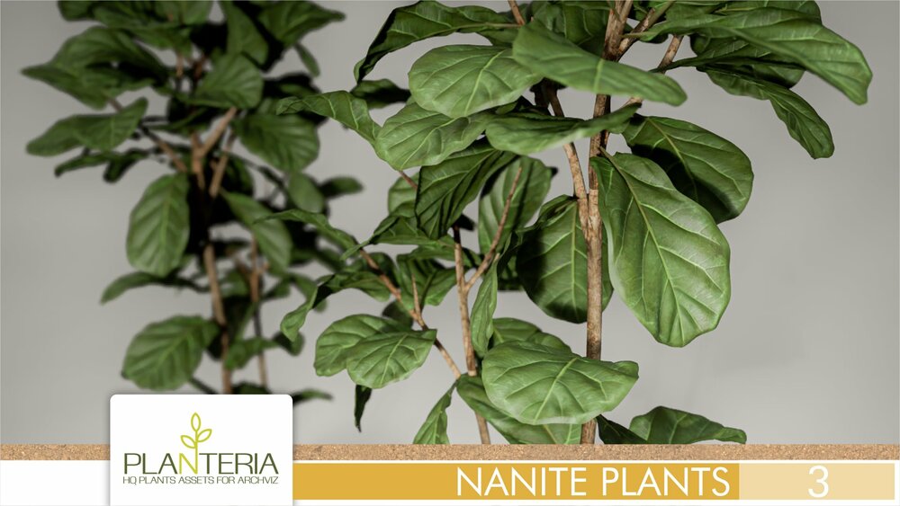 Nanite Plants Vol. 3 