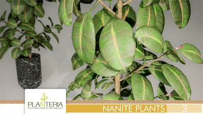 Nanite Plants Vol. 3 