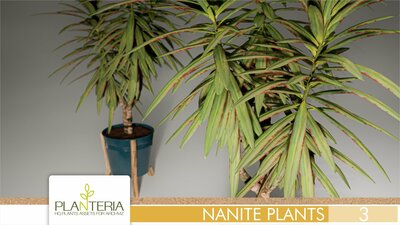 Nanite Plants Vol. 3 