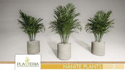 Nanite Plants Vol. 3 