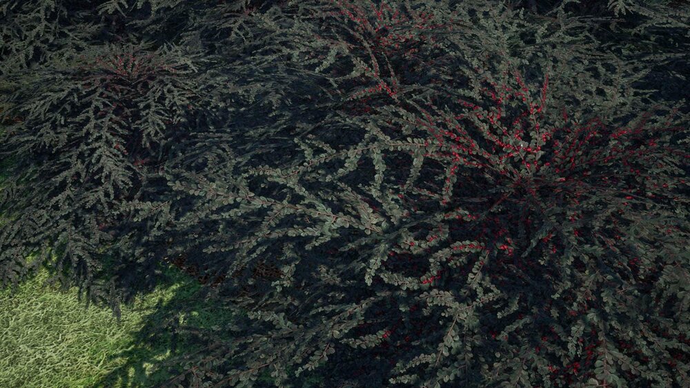 Realistic Foliage Vol. 1 "Bushes" by DAS 