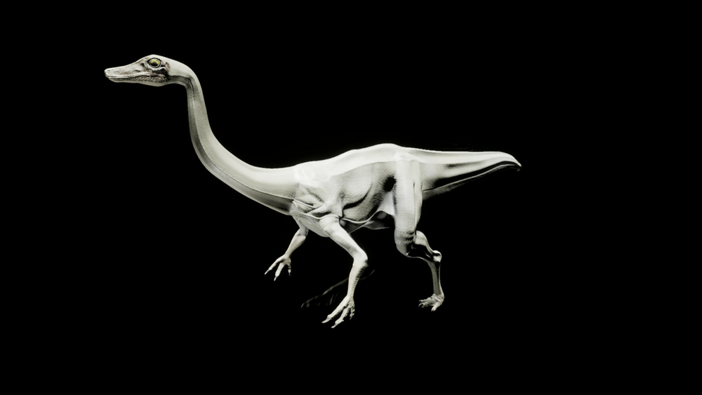 Gallimimus 