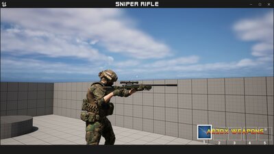 Sniper Rifle 