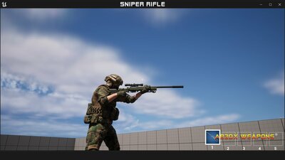 Sniper Rifle 