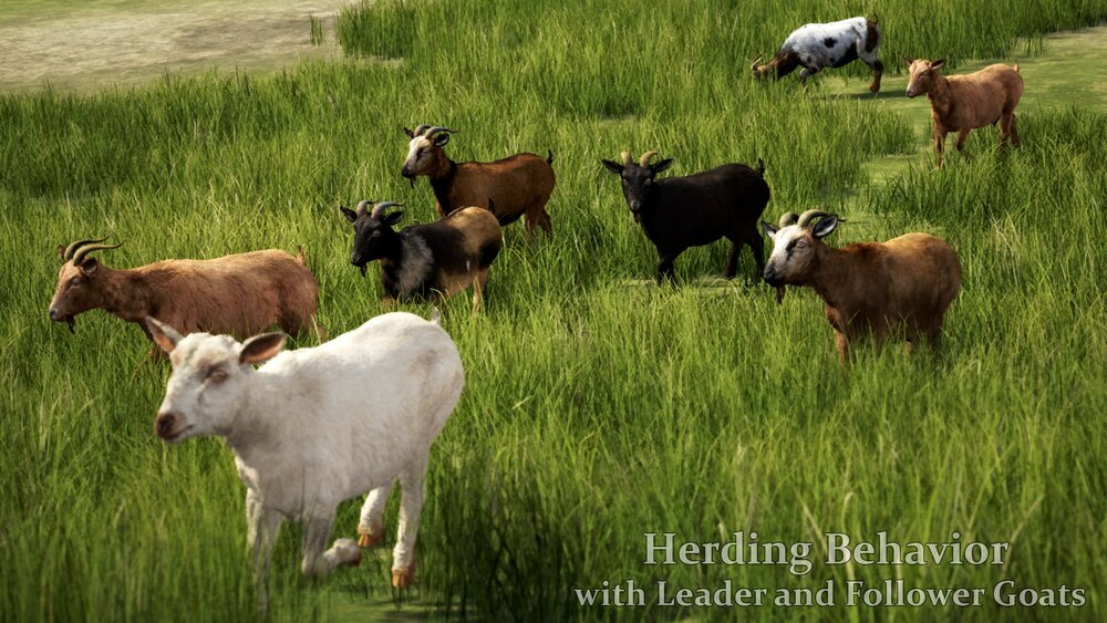 Goat Herd 