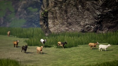 Goat Herd 