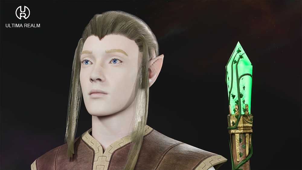 High Elf Priest - Male Elf 