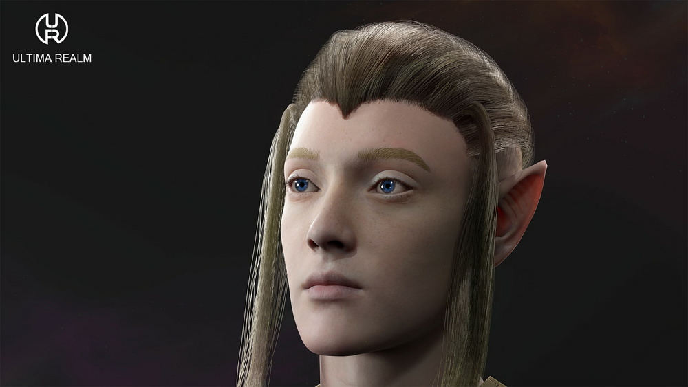 High Elf Priest - Male Elf 