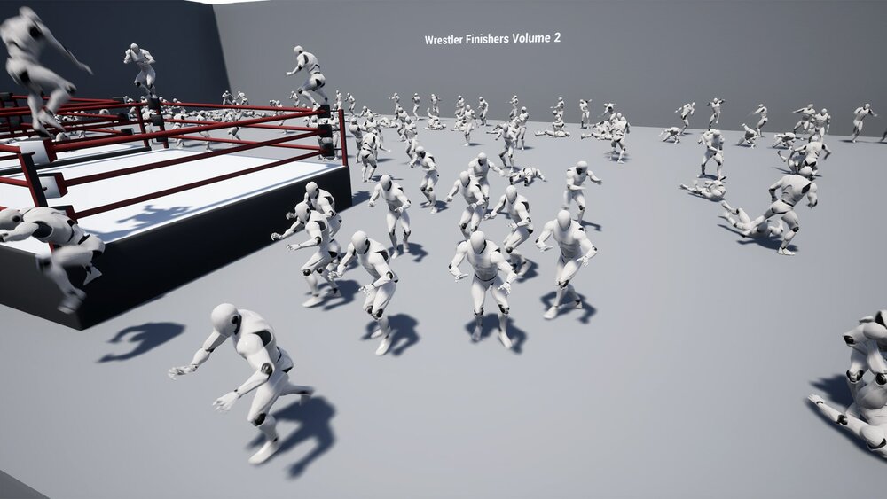 Wrestler Finishers Volume 2 