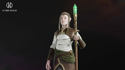 High Elf Priest - Male Elf 