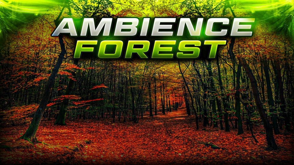 Ambient Video Game Music - Forests 