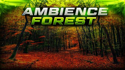 Ambient Video Game Music - Forests