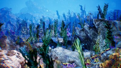 Sea Vegetation / 12 Assets 