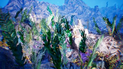 Sea Vegetation / 12 Assets 