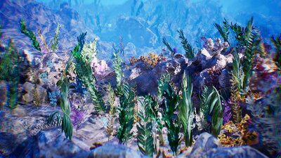 Sea Vegetation / 12 Assets 