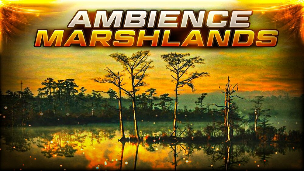 Ambient Video Game Music - Marshlands 