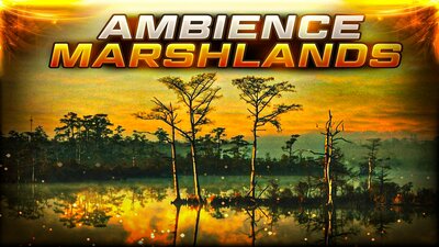 Ambient Video Game Music - Marshlands