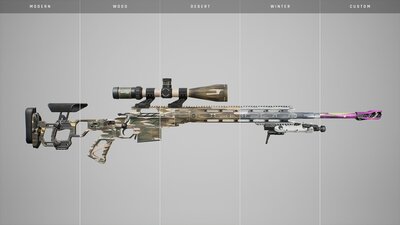 Precision Sniper Rifle 