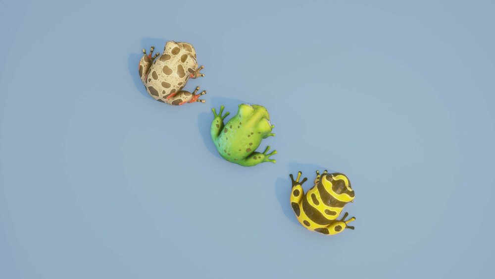 Cartoon Frog Animated 3D Models 